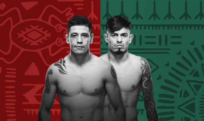 Apostas para Moreno x Royval 2, no UFC 2024