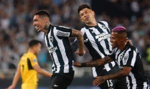 Melhores Apostas em Cruzeiro x Botafogo no Brasileirão 2023