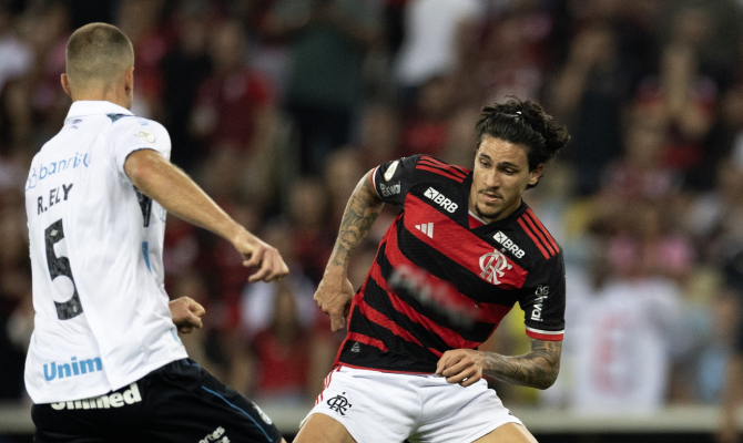 apostas Flamengo x Bahia