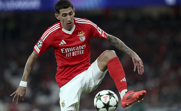 Palpite Sporting x Benfica na Liga Portugal 2024/2025